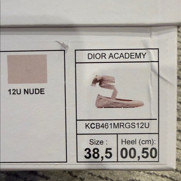 Dior Nude Ballet Flats with Ribbons - Picture 2 of 11